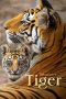 Nonton Film Tiger (2024) Terbaru Nonton Film Tiger (2024) Terbaru
